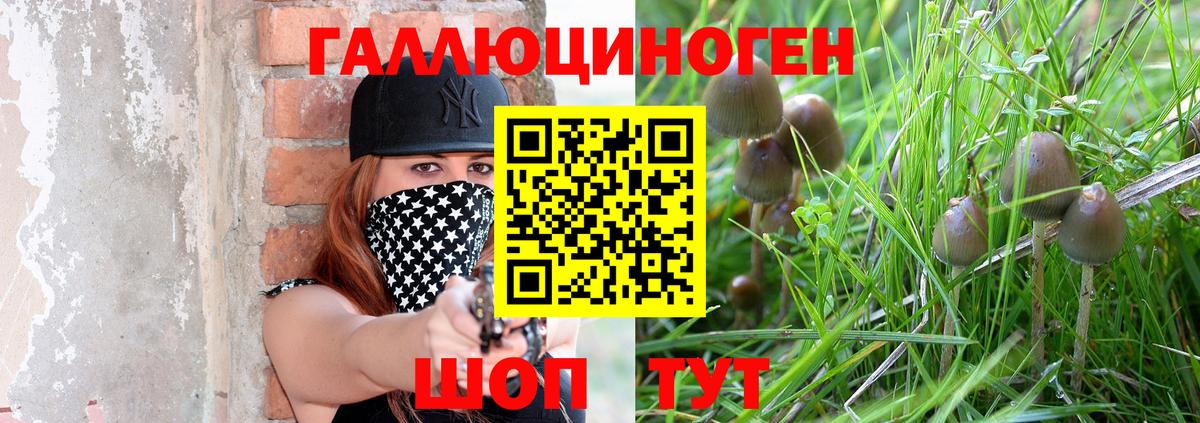 Новый Уренгой  Галлюциногенные грибы GOLDEN TEACHER  Вход с VPN 