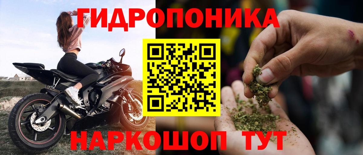 Шишки марихуана MAZAR  Вход с VPN  МАРИХУАНА семена  Новый Уренгой  Конопля AK-47 